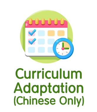 Curriculum Adaptation (Chinese Only)